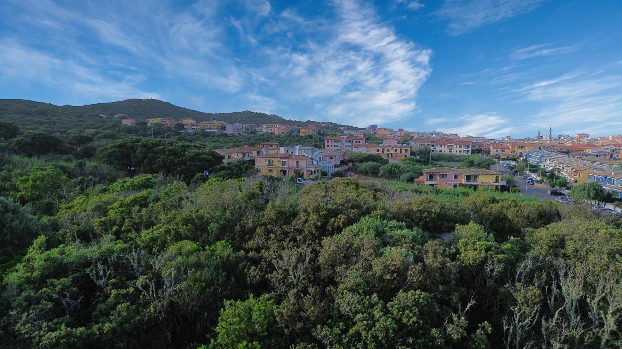 Case Vacanze A Santa Teresa Di Gallura Eksteriør billede